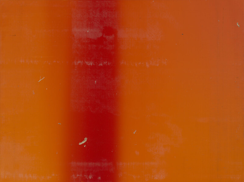 Wolfgang Tillmans får Hasselbladspriset