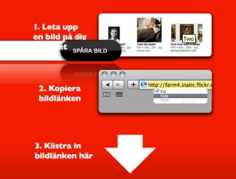 Bildkoll på nätet?