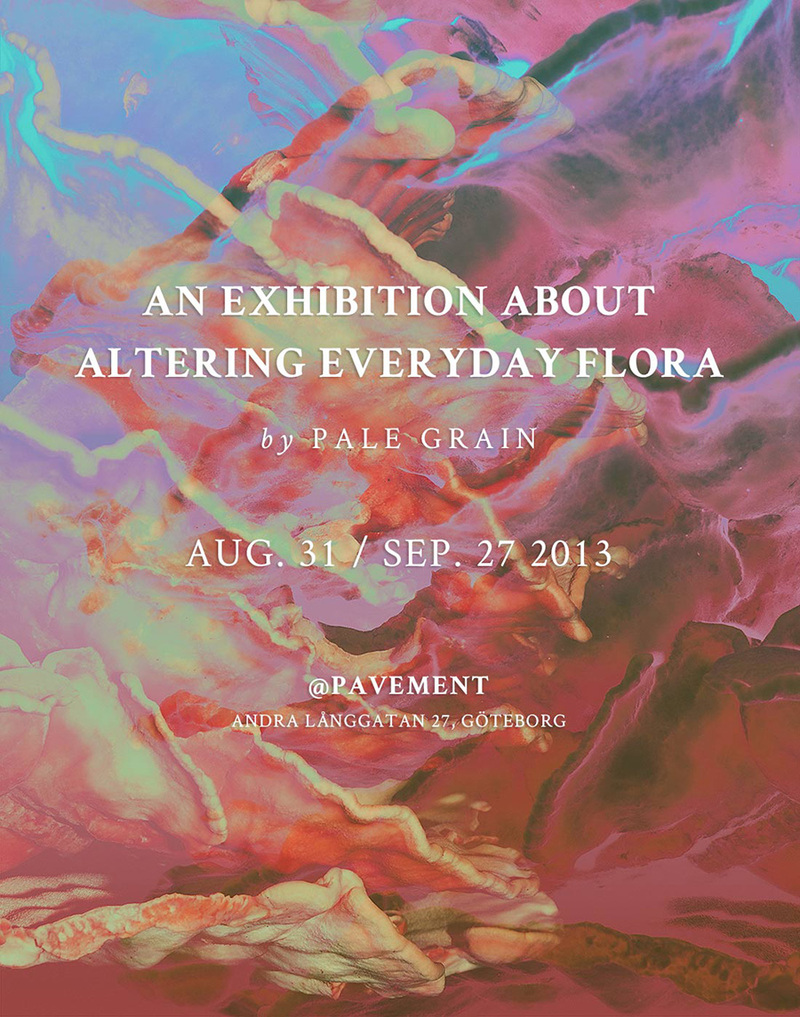 An Exhibition About Altering Everyday Flora