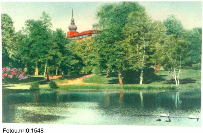 MELLANRUM – VÄGEN TILL NATUREN