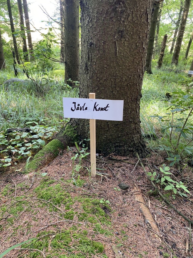 PLATS konst i skogen