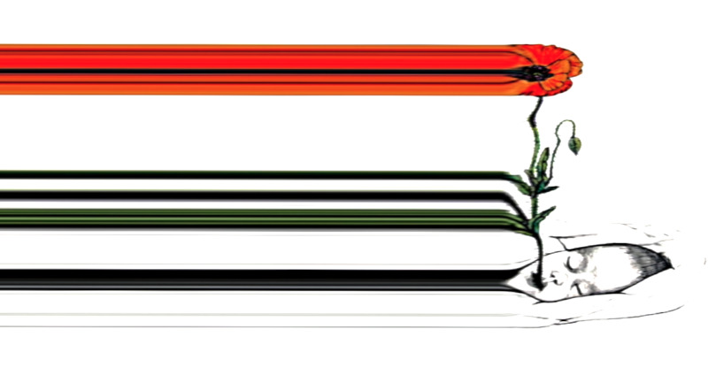 "Mysticisme des fleurs"   animation/soundart
