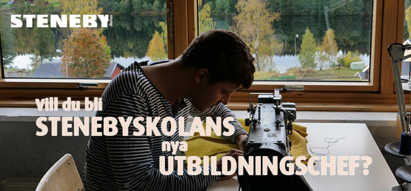 Stenebyskolan söker Utbildningschef