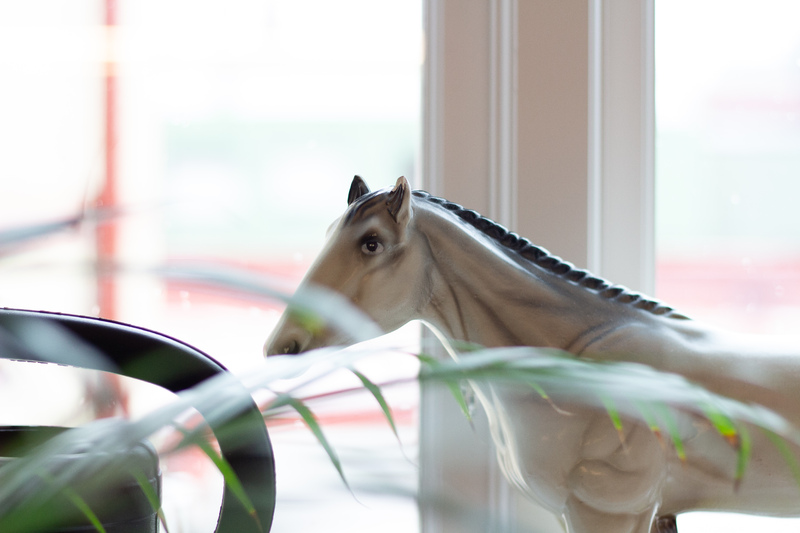 Motion Designer till Where is my pony