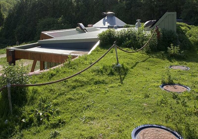 Naturization