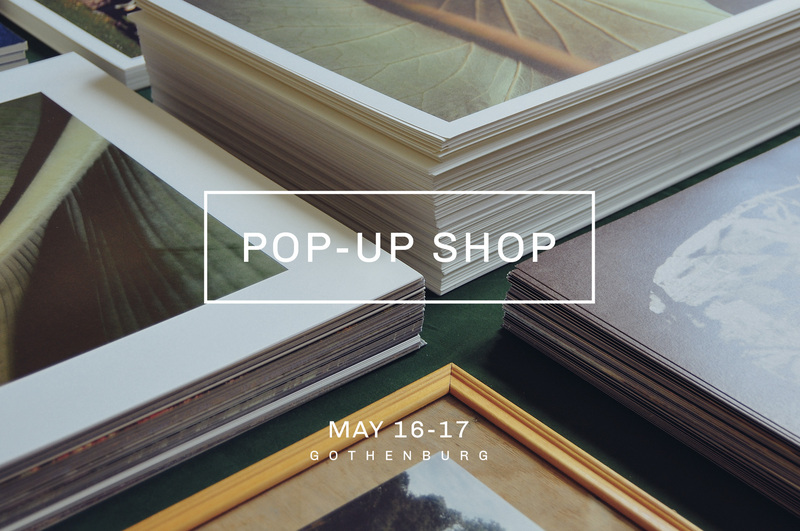 POP-UP Print Shop med Pale Grain