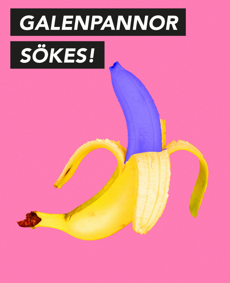 Galenpannor sökes!