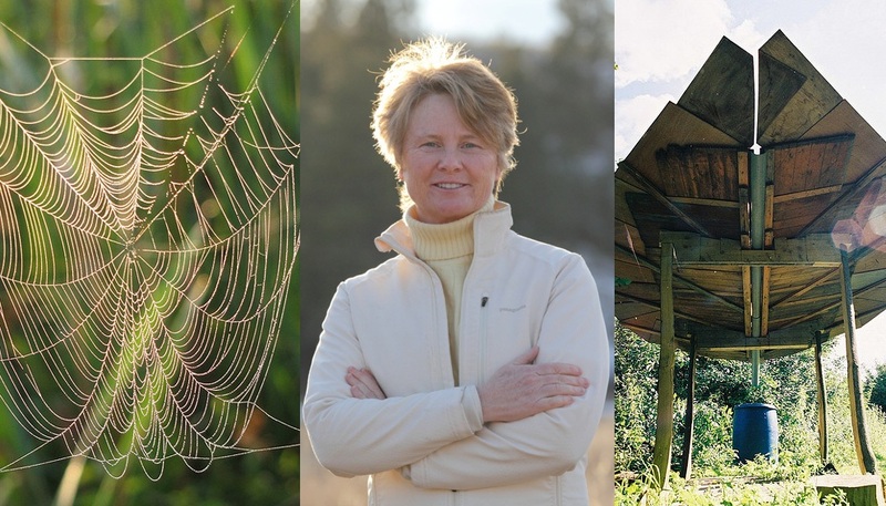 Naturen som designer