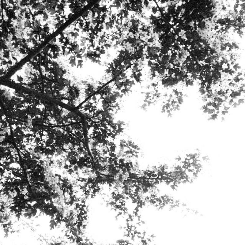 Sommartips