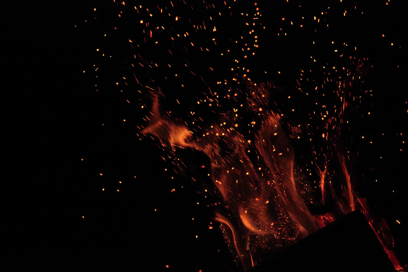 Frilansarna samlas