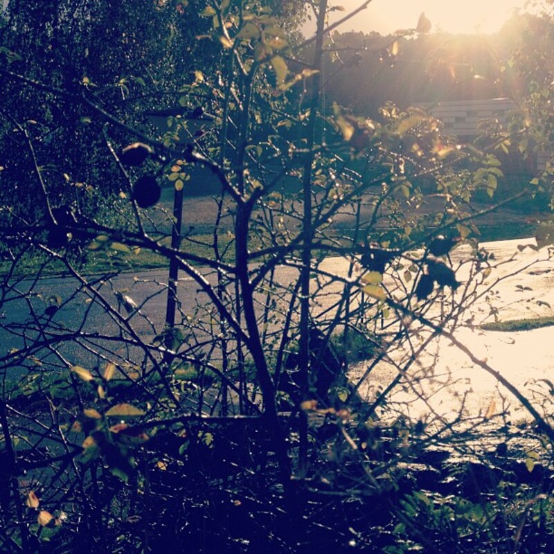 Nyhetsbrev oktober