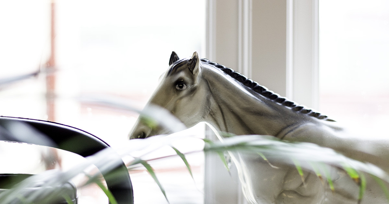 Projektledare till Where is my pony