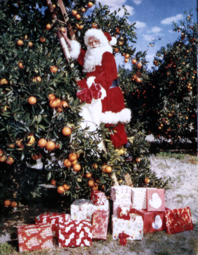 Julmarknadstider