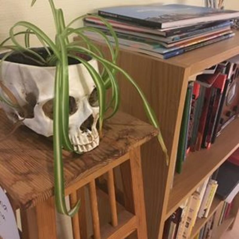 Ledig plats i Serieateljén