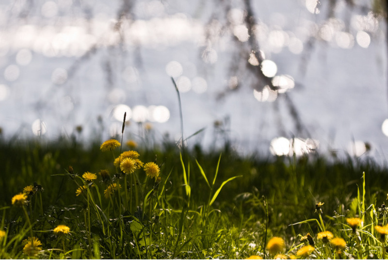 Sommarlov!