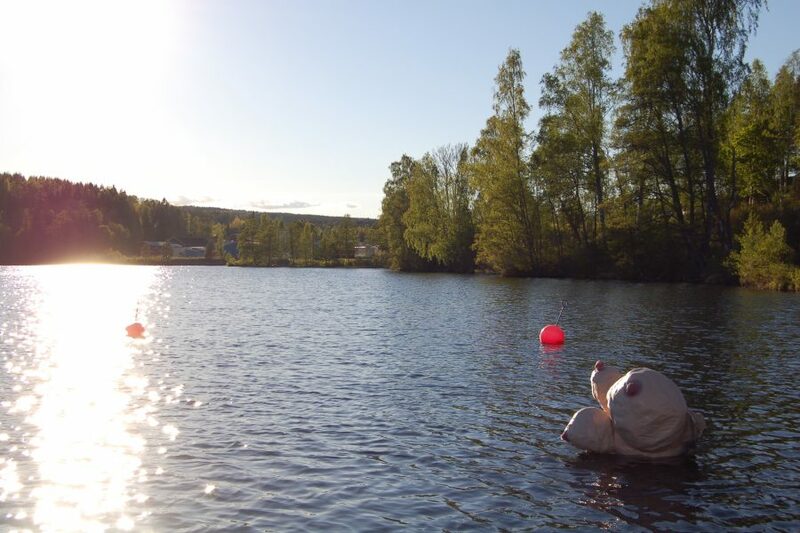 Stenebystudenter + lokala företag = hållbarhet