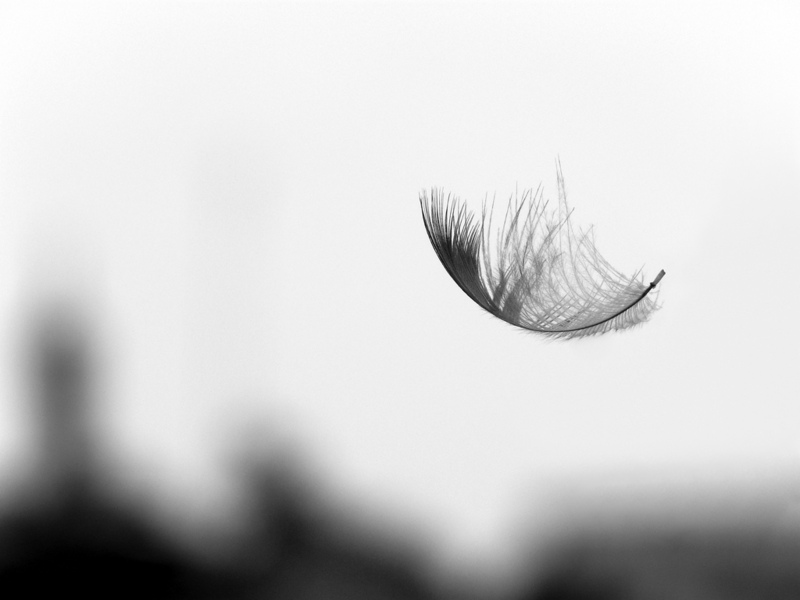 Work in peace